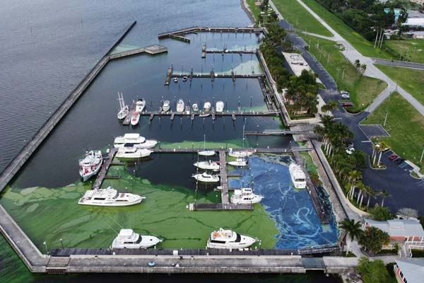Marina and commercial dredging